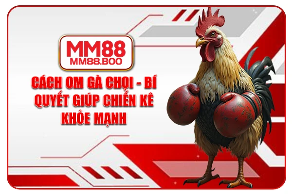 Cách Om Gà Chọi - Bí Quyết Giúp Chiến Kê Khỏe Mạnh