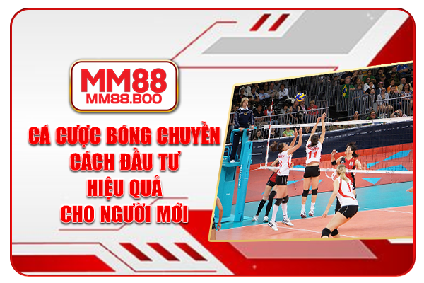 Cá Cược Bóng Chuyền - Cách Đầu Tư Hiệu Quả Cho Người Mới
