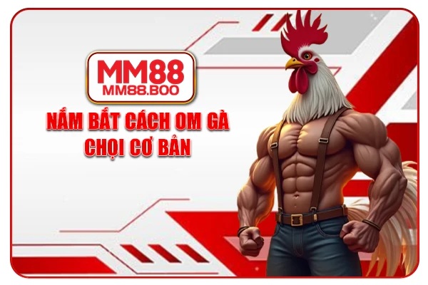 Nắm bắt cách om gà chọi cơ bản