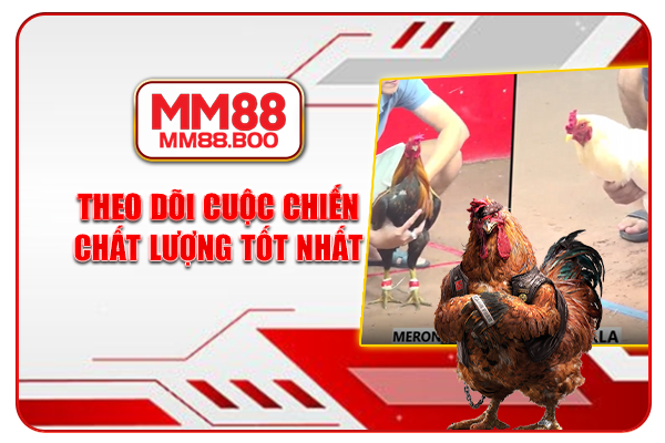 Theo dõi cuộc chiến chất lượng tốt nhất