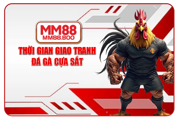 Thời gian giao tranh đá gà cựa sắt